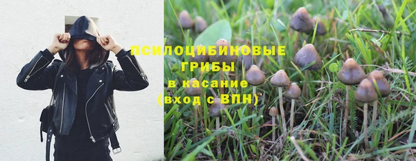 spice Беломорск