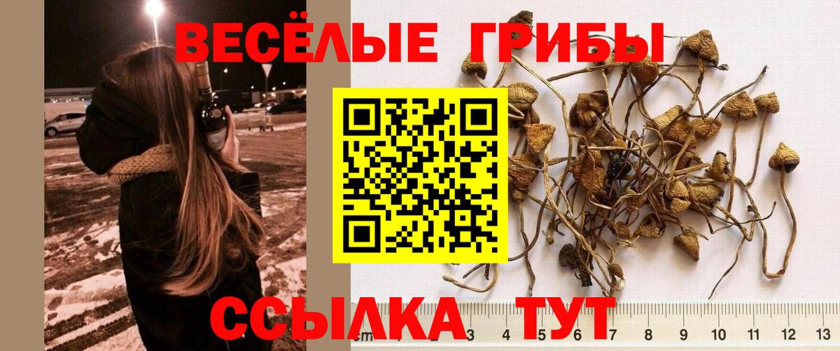 Галлюциногенные грибы мицелий Бутурлиновка