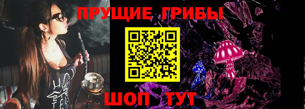 Псилоцибиновые грибы прущие грибы  сколько стоит  Бутурлиновка  Вход с VPN  Псилоцибиновые грибы Psilocybe 